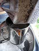 �����ӂ����